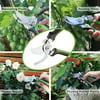 WORKPRO Garden Bypass Pruning Shears 85 Garden Pruning Scissors with CRV Integral Forged Blades Garden Clippers Hand Tools for Cutting and Trimming Bonsai Branch Herb Rose FlowerWORKPRO Garden Bypass Pruning Shears 85 Garden Pruning Scissors with CRV Integral Forged Blades Garden Clippers Hand Tools for Cutting and Trimming Bonsai Branch Herb Rose Flower