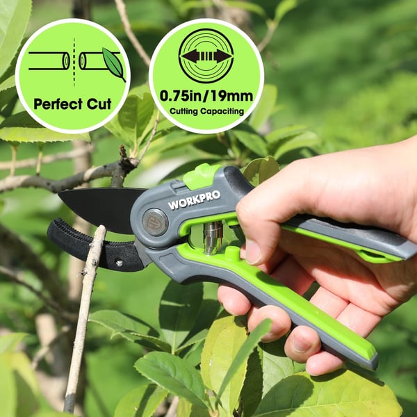 WORKPRO Anvil Pruning Shears 8 Professional Gardening Hand Pruner with SK5 Steel Sharp Blades Ideal Gardening Tool for Cutting and Trimming GreenAnvil