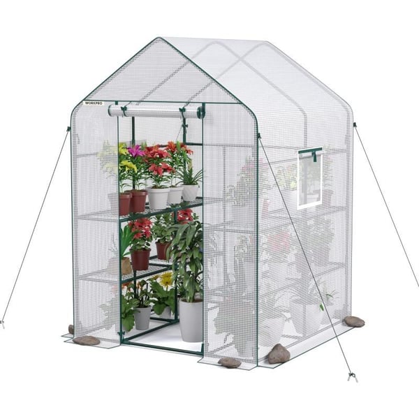 WORKPRO Greenhouse 56 x 56 x 77 Heavy Duty Walk in Greenhouses for Outdoors with Screen Windows Thicken PE Cover 3 Tier 8 Shelves Portable Green House Kit for Patio Backyard and Porch56 L X 56 W X 77 H Walk in Large