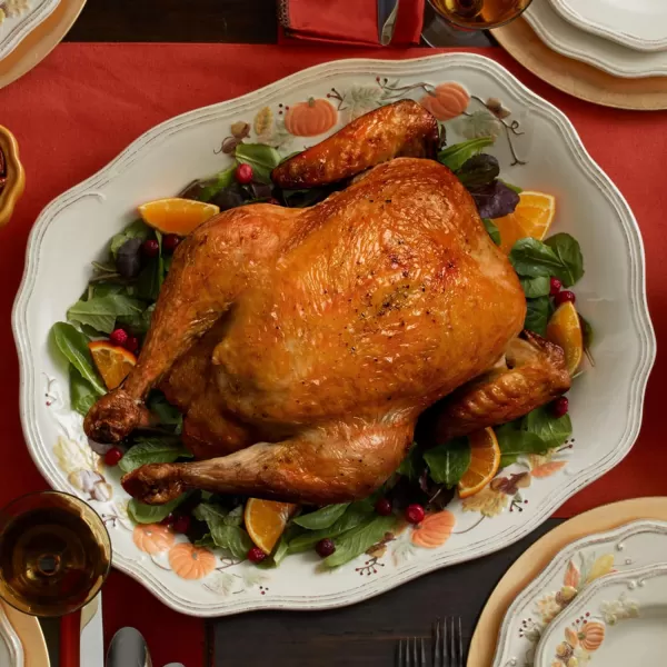 Pfaltzgraff Earthenware Plymouth Turkey Platter, white, brown, 21 x 17 inches
