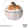 imagePfaltzgraff Autumn Berry Covered Pumpkin Bowl Holds 20 Ounces Cream