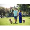 imageGRECERELLE Womens Summer Sleeveless Casual Long Tank Maxi Dress with Pockets XS3XLRoyal Blue