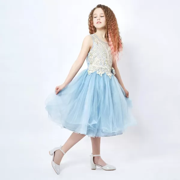 Girls Sandals Closed Toe High Heels Formal Dress Shoes Ankle Strap Pointed Toe Heeled for Little Big Kids in Wedding Party Comfortable Thick Heels Block Chunky Pump ShoesClassic Glitter Silver