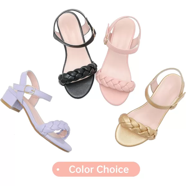 Girls Sandals Kids Heels Open Toe Ankle Strap Dress Shoes Flower Wedding Party for Toddler Little Big KidBraided Black