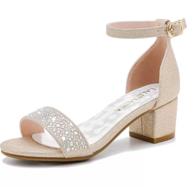 Girls High Heels Sandal for Girls Open Toe Ankle Buckle Strap Dress Shoes for Little Big Kids in Wedding Party Block Chunky Pump SandalsHonorable Rhinestone Rosegold