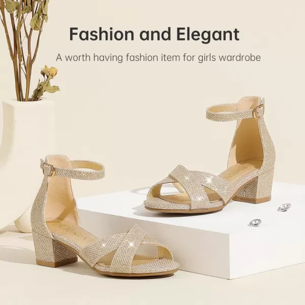 Girls Sandals Open Toe High Heels Fancy Dress Shoes Ankle Strap Chunky Block Heels Flower Girls Wedding Party Dressy Shoes for Toddler Little Big KidsGold Glitter