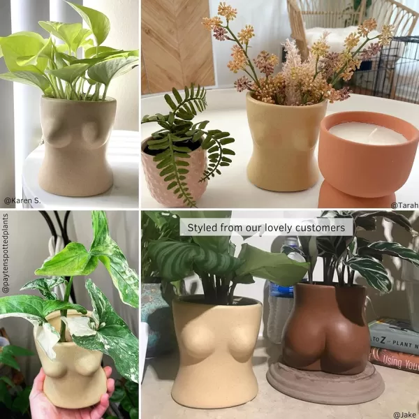 Boob Planter Body Vase Female Form Bust Flower Vases wDrainage Hole Speckled Matte Finish Modern Boho Home Decor Cute Small Indoor Plant Pot Feminist Woman Shaped Sculpture Unique Aesthetic
