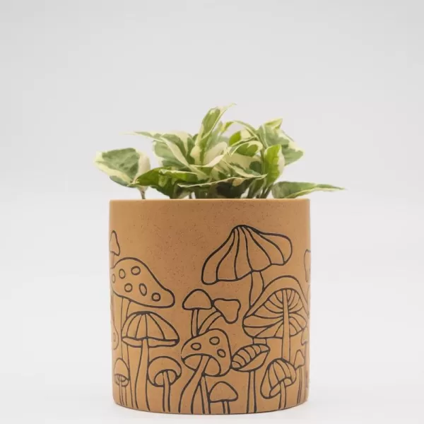 BASE ROOTS Mushroom Planter Speckled White IndoorOutdoor Holds Small PlantsSpeckled Terracotta