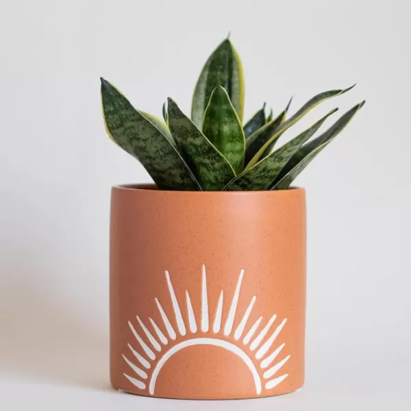 Sun Decor Vase Handmade Design Terracotta Speckled Ceramic Planter w Drainage Hole Minimalist Modern Cute Vintage Aesthetic Small Flower Vases Centerpieces Unique Indoor Plant Pot Boho Chic RusticOrange Speckled Terracotta