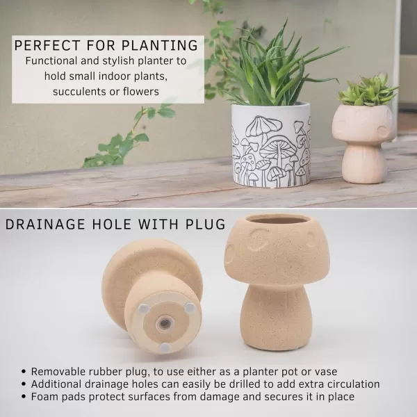 Hanging Shelves for Wall Set of 2 w Hooks Wooden Shelf Macrame Rope Natural Reclaimed Wood Mushroom Decor Vase Textured Sand Handmade Ceramic Plant Pot Indoor Plants Modern Boho Cottagecore