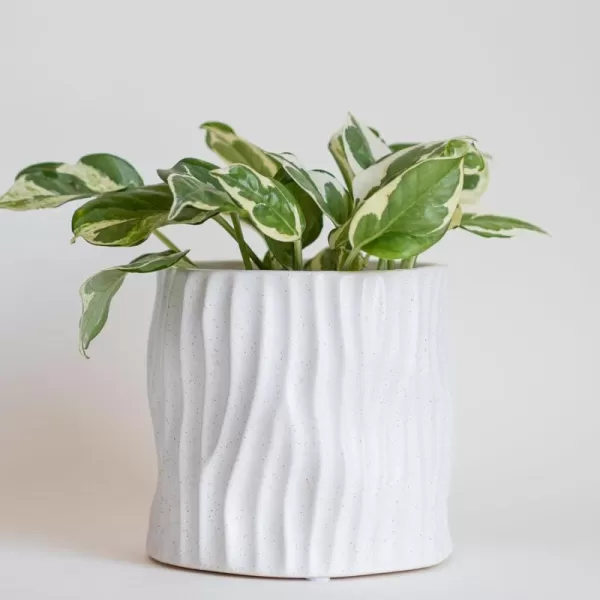 Spiral Planter Swirl Twist Speckled Matte White Ceramic w Drainage Hole Unique Small Indoor Plant Pot Mid Century Modern Minimalist Cute Vintage Aesthetic Centerpieces Flower Boho Living Room DecorWavy Speckled White