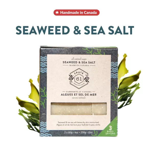 Crate 61 Handmade in Canada Plant Based Cold Process Natural Bar Soap For Face And Body With Premium Essential Oils Eucalyptus ampamp Peppermint For Men And Women 3 Pack EucamintSeaweed and Sea Salt