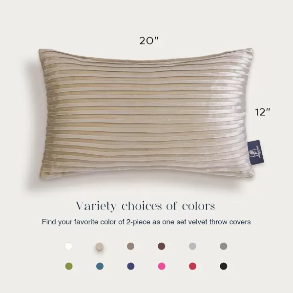 Phantoscope Pack of 2 Velvet Decorative Throw Pillow Covers  Crushed Velvet Handmade Pleated Design  Soft Solid Square Pillow Case for Couch Bed and Chair Beige 18 x 18 inches 45 x 45 cmBeige
