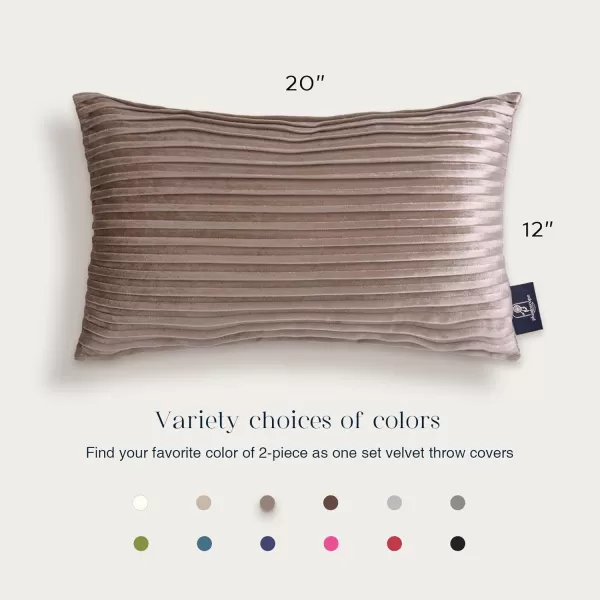 Phantoscope Pack of 2 Velvet Decorative Throw Pillow Covers  Crushed Velvet Handmade Pleated Design  Soft Solid Square Pillow Case for Couch Bed and Chair Beige 18 x 18 inches 45 x 45 cmLight Coffee