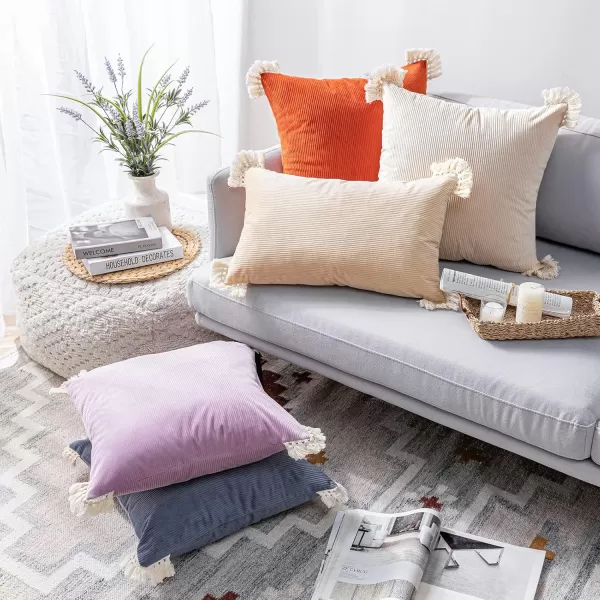 Phantoscope Pack of 2 Corduroy Pillow Covers Decorative Striped Velvet Throw Pillows with Cotton Tassels Soft Cushion Covers Pillowcases Off White 18 x 18 InchesSlate Grey