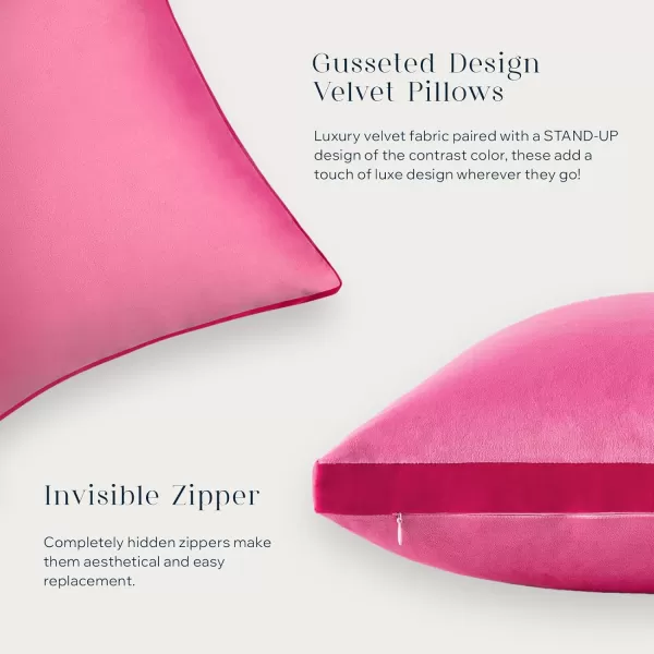 Phantoscope Pack of 2 Velvet Decorative Throw Pillow Covers DoubleSided Tassel Trimmed Design Soft Luxury Velvet Pillows Square Cushion Case for Couch Sofa Bed Brown 18 x 18 inches 45 x 45 cmHot Pink