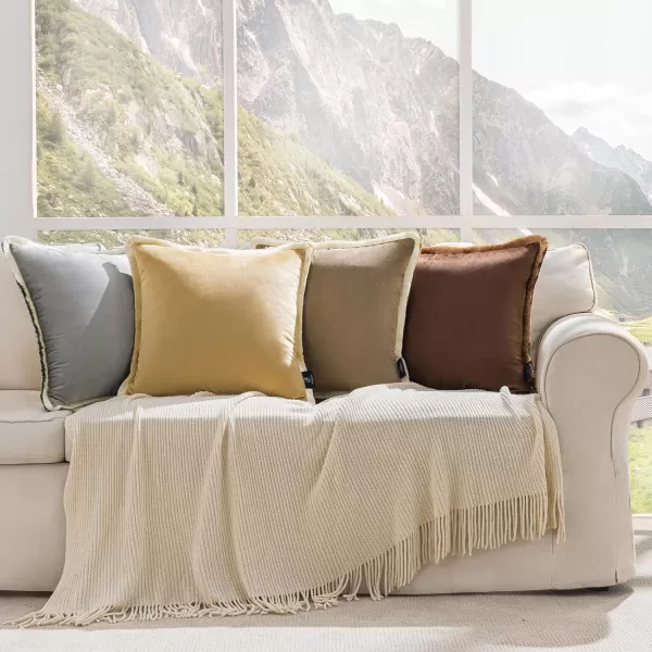 Phantoscope Pack of 2 Velvet Decorative Throw Pillow Covers DoubleSided Tassel Trimmed Design Soft Luxury Velvet Pillows Square Cushion Case for Couch Sofa Bed Brown 18 x 18 inches 45 x 45 cmBeigeCream
