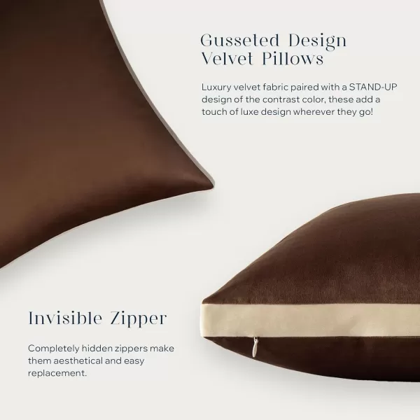Phantoscope Pack of 2 Velvet Decorative Throw Pillow Covers DoubleSided Tassel Trimmed Design Soft Luxury Velvet Pillows Square Cushion Case for Couch Sofa Bed Brown 18 x 18 inches 45 x 45 cmDeep Coffee