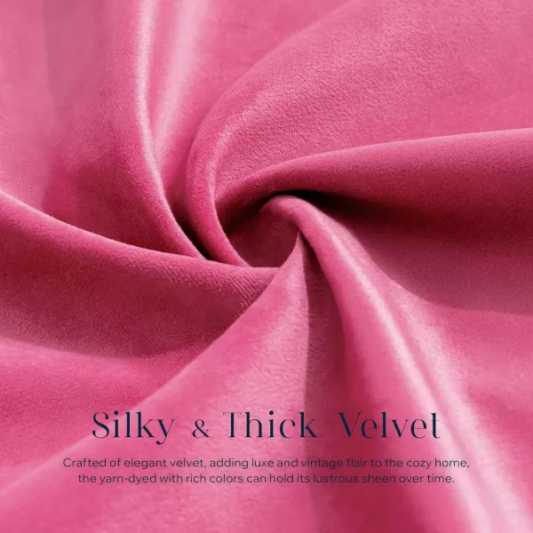 Phantoscope Pack of 2 Velvet Decorative Throw Pillow Covers DoubleSided Tassel Trimmed Design Soft Luxury Velvet Pillows Square Cushion Case for Couch Sofa Bed Brown 18 x 18 inches 45 x 45 cmHot Pink