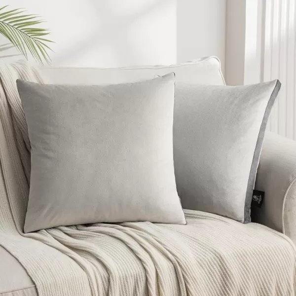 Phantoscope Pack of 2 Velvet Decorative Throw Pillow Covers DoubleSided Tassel Trimmed Design Soft Luxury Velvet Pillows Square Cushion Case for Couch Sofa Bed Brown 18 x 18 inches 45 x 45 cmLight Grey