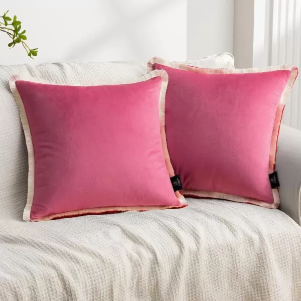 Phantoscope Pack of 2 Velvet Decorative Throw Pillow Covers DoubleSided Tassel Trimmed Design Soft Luxury Velvet Pillows Square Cushion Case for Couch Sofa Bed Brown 18 x 18 inches 45 x 45 cmPinkCream