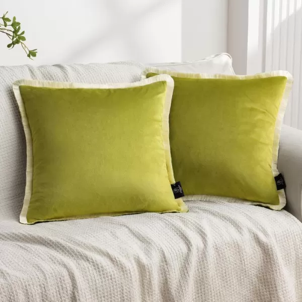Phantoscope Pack of 2 Velvet Decorative Throw Pillow Covers DoubleSided Tassel Trimmed Design Soft Luxury Velvet Pillows Square Cushion Case for Couch Sofa Bed Brown 18 x 18 inches 45 x 45 cmGreenCream