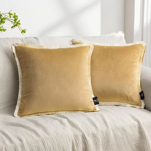 Phantoscope Pack of 2 Velvet Decorative Throw Pillow Covers DoubleSided Tassel Trimmed Design Soft Luxury Velvet Pillows Square Cushion Case for Couch Sofa Bed Brown 18 x 18 inches 45 x 45 cmBeigeCream
