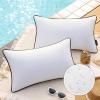 imagePhantoscope Pack of 2 Outdoor Waterproof Throw Pillow Covers with Contrast Piping Decorative Square Cushion Case Patio Pillows for Couch Tent Sunbrella Sage Green 18x18 inchesPure White