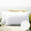 imagePhantoscope Pack of 2 Outdoor Waterproof Throw Pillow Covers with Contrast Piping Decorative Square Cushion Case Patio Pillows for Couch Tent Sunbrella Sage Green 18x18 inchesWhite