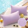 imagePhantoscope Pack of 2 Outdoor Waterproof Throw Pillow Covers with Contrast Piping Decorative Square Cushion Case Patio Pillows for Couch Tent Sunbrella Sage Green 18x18 inchesLavender Purple