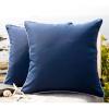 imagePhantoscope Pack of 2 Outdoor Waterproof Throw Pillow Covers with Contrast Piping Decorative Square Cushion Case Patio Pillows for Couch Tent Sunbrella Sage Green 18x18 inchesDark Blue