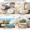 imagePhantoscope Round Throw Pillow Handcrafted Pumpkin Velvet Floor Pillow Couch Bed and Chair Light Green 16 x 16 inches 40 x 40 cm