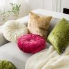 imagePhantoscope Round Throw Pillow Handcrafted Pumpkin Velvet Floor Pillow Couch Bed and Chair Light Green 16 x 16 inches 40 x 40 cm