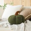 imagePhantoscope Teddy Fleece Pumpkin Throw Pillows Ultra Soft Sherpa Decorative Cute 3D Shaped Cushion Army Green 6 x 12 inchesArmy Green