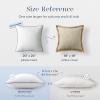 imagePhantoscope 18x18 Pillow Inserts Set of 2 Throw Pillow Insert with Striped 100 Cotton Cover Fluffy Square Decorative Throw Pillows for Couch with PipingWhite