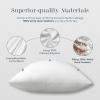 imagePhantoscope Feather Pillow Inserts 100 Down Feather Throw Pillows 18x18 Inch Decorative Pillows for Hotel Couch Sofa Bed Cushion Pack of 2White
