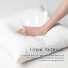imagePhantoscope Feather Pillow Inserts 100 Down Feather Throw Pillows 18x18 Inch Decorative Pillows for Hotel Couch Sofa Bed Cushion Pack of 2White