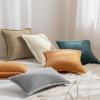 imagePhantoscope Pack of 4 Paris Corduroy Throw Pillow Covers Unique Vintage Twill Edge Decorative Pillows Solid Boho Textured Pillow Covers Fall Broadside Square Cushion Case Light Gray18 x 18 InchLight Grey