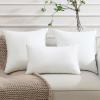 imagePhantoscope Pillows Insert Pack of 2 18 x 18 Inches White  Hypoallergenic 100 Virgin Fiber Square Form Microfiber Throw Pillows  Indoor Decor Pillow Inserts Stuffer Bed Sofa and Couch2