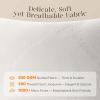 imagePhantoscope Premium 18x18 Throw Pillow Inserts UltraSoft Pillow Inserts with Quilted Air Layer Decorative Indoor Throw Pillows for Couch Bedroom Cushion Sham Stuffer Pack of 12