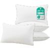 imagePhantoscope Pillows Insert Pack of 2 18 x 18 Inches White  Hypoallergenic 100 Virgin Fiber Square Form Microfiber Throw Pillows  Indoor Decor Pillow Inserts Stuffer Bed Sofa and Couch4