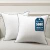 image:imagePhantoscope 12x20 Pillow Inserts Decorative Throw Pillow Inserts with 100 Cotton Jacquard Cover Virgin Fiber Pillow Sham Stuffer Lumbar Square Couch Cushion Pillows Pack of 2 12x20 InchJacquard White