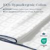 image:imagePhantoscope 12x20 Pillow Inserts Decorative Throw Pillow Inserts with 100 Cotton Jacquard Cover Virgin Fiber Pillow Sham Stuffer Lumbar Square Couch Cushion Pillows Pack of 2 12x20 InchJacquard White