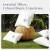 image:imagePhantoscope 18x18 Outdoor Pillow Inserts  Pack of 2 Outdoor Pillows Waterproof Down Alternative Throw Pillows Couch Sham Cushion Stuffer for Patio and Porch FurniturePure White