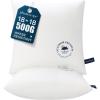 image:imagePhantoscope 18x18 Outdoor Pillow Inserts  Pack of 2 Outdoor Pillows Waterproof Down Alternative Throw Pillows Couch Sham Cushion Stuffer for Patio and Porch FurniturePure White