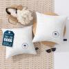 image:imagePhantoscope 18x18 Outdoor Pillow Inserts  Pack of 2 Outdoor Pillows Waterproof Down Alternative Throw Pillows Couch Sham Cushion Stuffer for Patio and Porch FurniturePure White