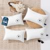 image:imagePhantoscope 18x18 Outdoor Pillow Inserts  Pack of 2 Outdoor Pillows Waterproof Down Alternative Throw Pillows Couch Sham Cushion Stuffer for Patio and Porch FurniturePure White