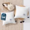 image:imagePhantoscope 18x18 Outdoor Pillow Inserts  Pack of 2 Outdoor Pillows Waterproof Down Alternative Throw Pillows Couch Sham Cushion Stuffer for Patio and Porch FurniturePure White