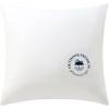 image:imagePhantoscope 18x18 Outdoor Pillow Inserts  Pack of 2 Outdoor Pillows Waterproof Down Alternative Throw Pillows Couch Sham Cushion Stuffer for Patio and Porch FurnitureWhite