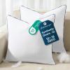 image:imagePhantoscope 18x18 Synthetic Down Alternative Pillow Inserts Handmade Down Pillows Insert Sleeping Throw Pillows with 100 Cotton Cover Decorative Pillow Stuffer for Sofa Couch BedWhite Set of 218x18 Inch